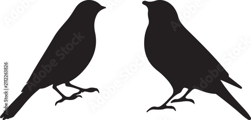 silhouette of a crow