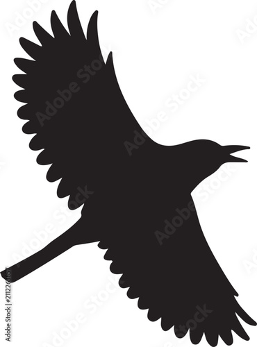illustration of a bird