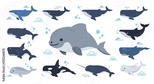 Photography Whales and dolphins swimming together 1.
