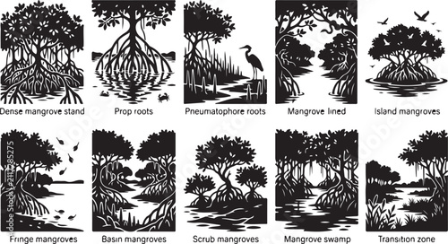 Obraz na płótnie A collection of ten black and white silhouette depicting various mangrove forest