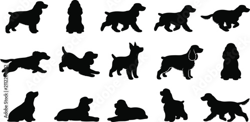 Cuadro en lienzo English, Cocker, Spaniel, dog, silhouette, vector, set, collection, standing, si