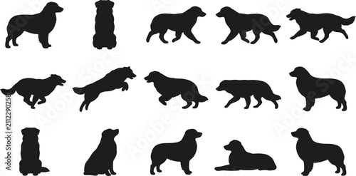 Fotografie Golden, Retriever, dog, silhouette, vector, set, collection, standing, sitting,