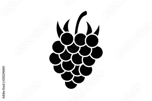 Blackberry Icon