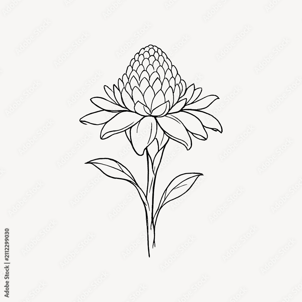 Obraz premium Minimalist line art flower illustration.