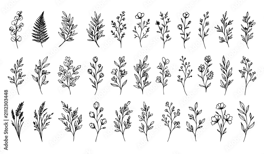 Fototapeta premium Hand Drawn Botanical Branches and Leaves Outline Vector Set