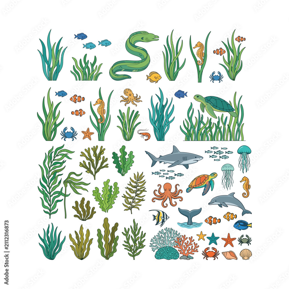 Obraz premium Hand drawn vector collection of cute marine animals and colorful underwater plants isolated on white