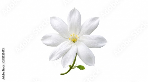 A single pristine white flower with elegant petals and a bright yellow center, featuring a green stem and leaf, isolated on a pure white background for minimalist and clean design use.