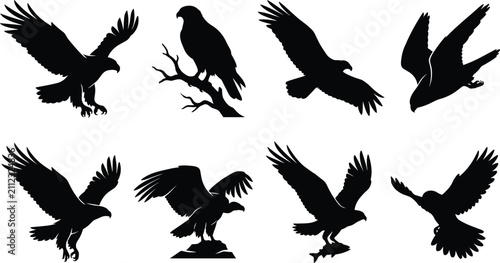 Принти на полотні Eagle and hawk silhouettes vector set featuring predatory birds flying perching