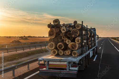 Logging truck transporting freshly cut logs on a rural road at sunset.
