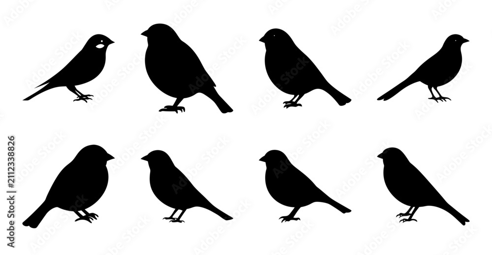 Fototapeta premium Black silhouette birds in different poses - Eight stylish black bird silhouettes in varied standing and sitting poses, perfect for nature or design projects.