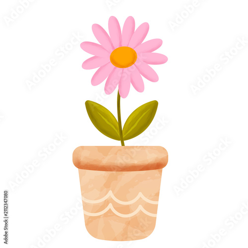 Watercolor Pink Daisy Potted Plant Illustration