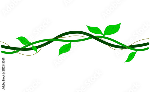 Twisted liana plant, jungle vines. Ivy leaves Image composition for border. background. Human intelligence creation, draw. Illustration vector