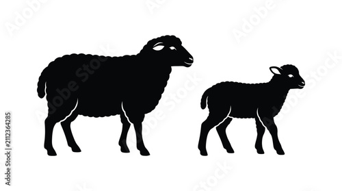 Foto Sheep And Lamb Silhouette Against A White Background