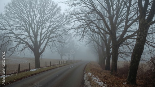 Foggy country road lined with leafless trees and a fence, with patches of snow on the ground.