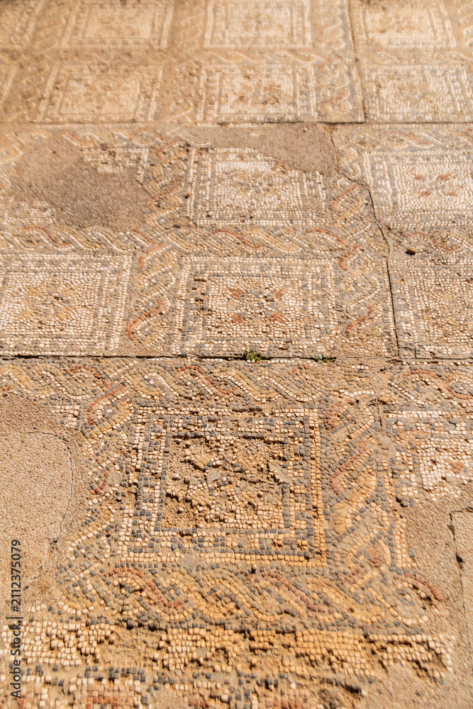 Obraz premium Detailed Roman Mosaic Floor Pattern