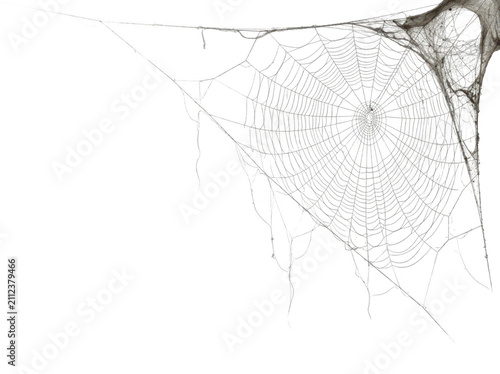 Detailed spiderweb isolated on transparent background. Halloween concept for spooky design.