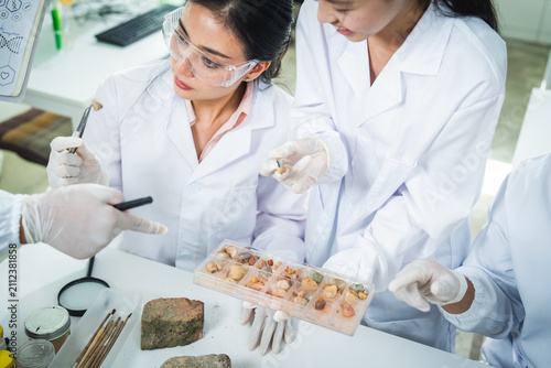 Scientist laboratory artifact glove specimen research conservation archaeology, focused team examines ancient fragment and sample tray during careful analysis in clean workspace
