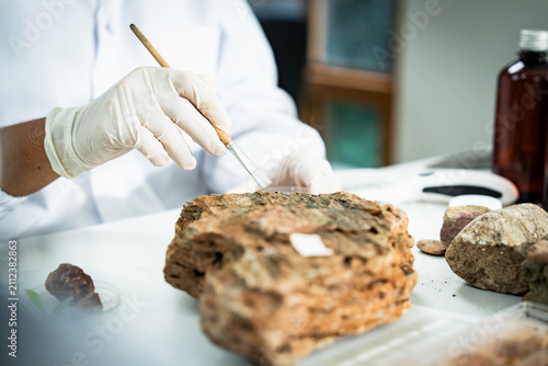 Conservation laboratory glove brush fossil rock careful hand cleaning ancient specimen on white table with tool bottle stone dust research restoration archaeology study