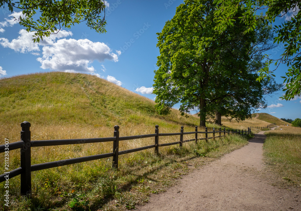 Obraz premium The mysterious mounds of Old Uppsala