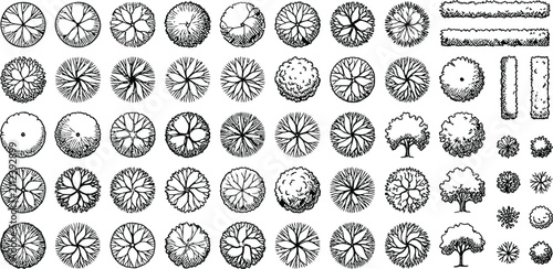 Collection of hand drawn tree top view icons for architectural landscape design and site planning vector illustration