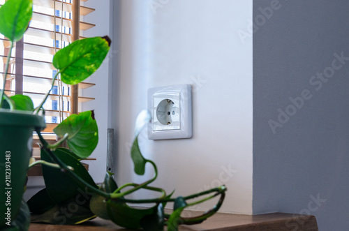 фотографія White electrical socket mounted on a window reveal wall, trailing houseplant lea