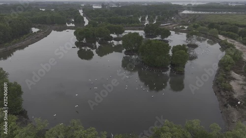 Aerial drone view of oyster farming rafts on the river in Long Son, near Ho Chi Minh City, Vietnam.