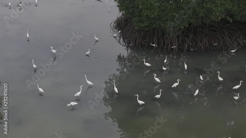 Aerial drone view of oyster farming rafts on the river in Long Son, near Ho Chi Minh City, Vietnam.