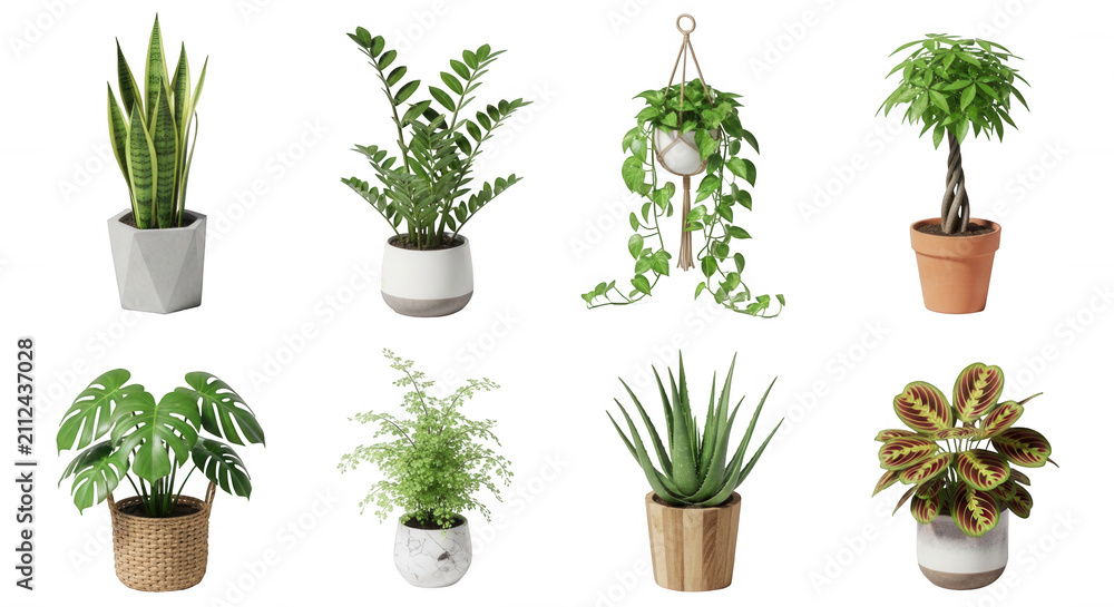 Fototapeta premium various potted plants arranged on a white background for a gardening and home decor concept