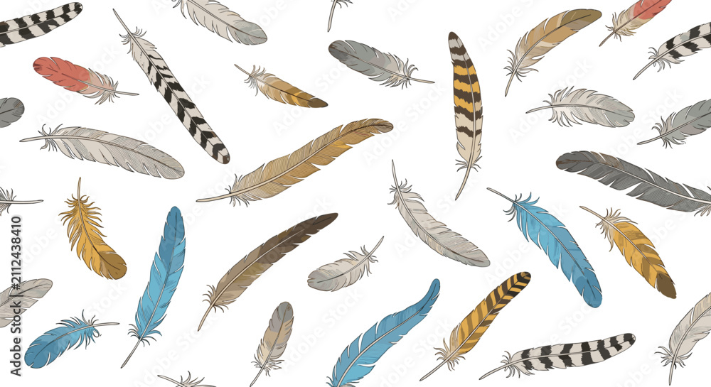 Fototapeta premium Pattern background filled with various bird feathers of different colors patterns and sizes scattered randomly.