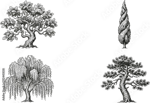Set of four hand drawn sketches of different types of trees