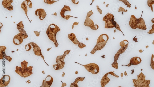 Dried leaves and plant debris scattered on a white surface. Fall foliage and nature cleanup. The concept of autumn and seasonal change. Natural autumn elements.