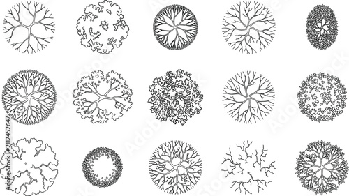 Set of architectural tree top view plan drawings in black and white outline vector format