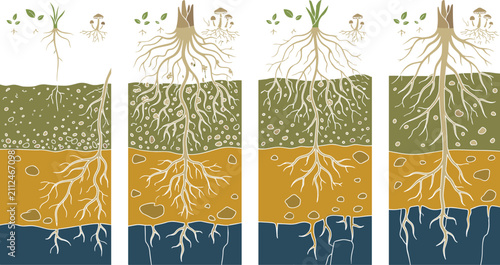Konstfotografi Plant Root System and Soil Layers Cross Section Diagram Set for Botanical and Ge
