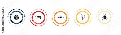 Foto filled animals icons set - guinea pig heag, sloth, zander, seaweed