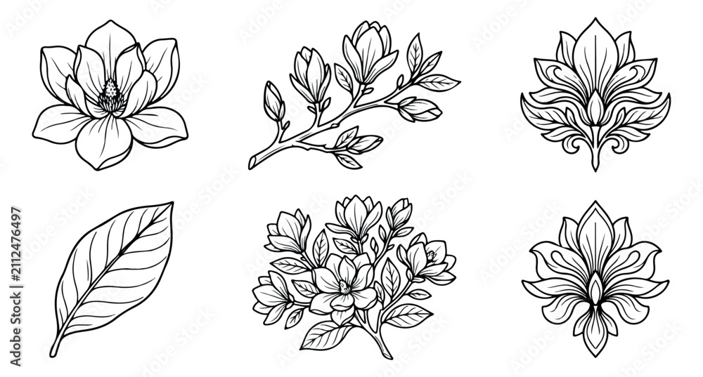 Obraz premium Vintage magnolia flower line art set, hand drawn botanical floral illustrations, 6 black and white vector elements for wedding invitations