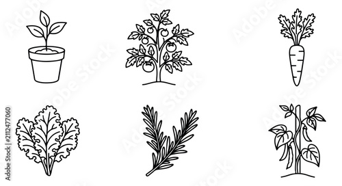 Quadro su tela Minimalist garden plant icons set, black line art vegetable and herb illustratio
