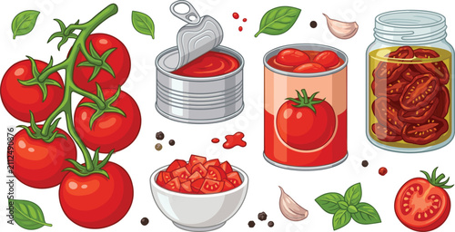 Fresh red tomatoes on branch, canned paste, diced pieces in bowl, sun dried in glass jar with basil leaves and garlic vector illustration