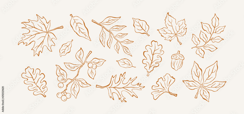Obraz premium Set of hand-drawn doodle autumn leaves, berries and branches