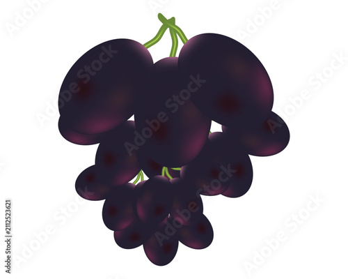Realistic-Dark-Purple-Grape-Bunch-With-Green-Stem-Fresh-Juicy-Fruit-Illustration-Isolated-On-White-Background