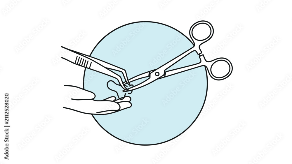 Obraz premium Line illustration showing hands using medical forceps and tweezers to hold a small bone or specimen on a petri dish.