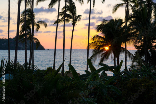Tropical palm trees framing ocean sunset in Sayulita, Mexico