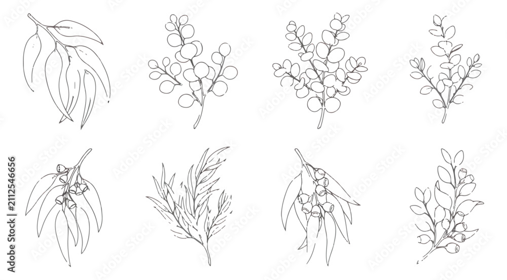 Fototapeta premium Minimalist eucalyptus leaf line art set, 8 botanical branch vector illustrations, hand drawn floral sketches for wedding invitations and branding