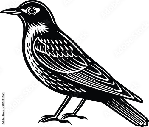 Stylized Bird Silhouette Vector Illustration Isolated on White