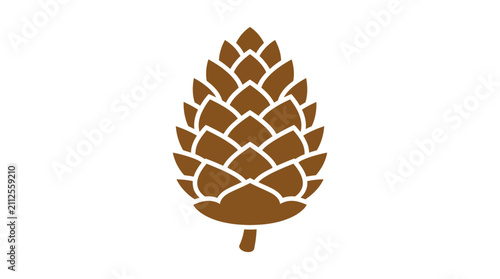 Foto Brown pine cone on a white background.