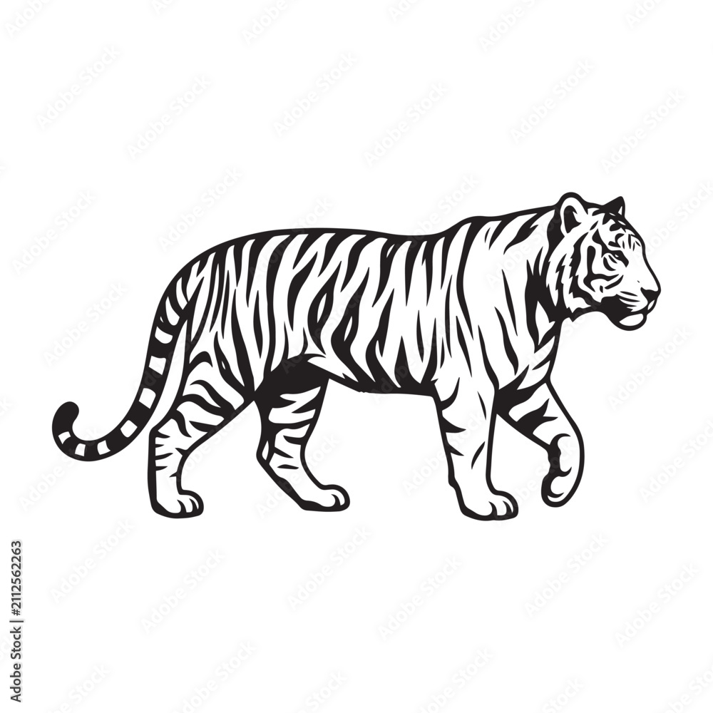 Fototapeta premium Tiger Silhouette Walking Wild Animal Vector