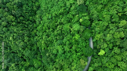 Sustainable Infrastructure Through Dense Forest for ESG Annual Report Background