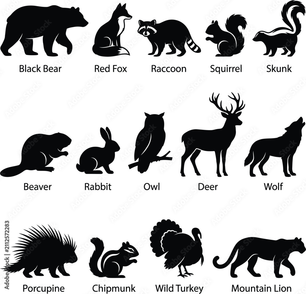Fototapeta premium Collection of north american forest animal silhouettes and nature icons with wildlife silhouette squirrel porcupine