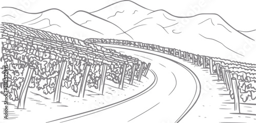 Un dibujo a mano de una carretera sinuosa pasando a través de un viñedo escénico con montañas distantes