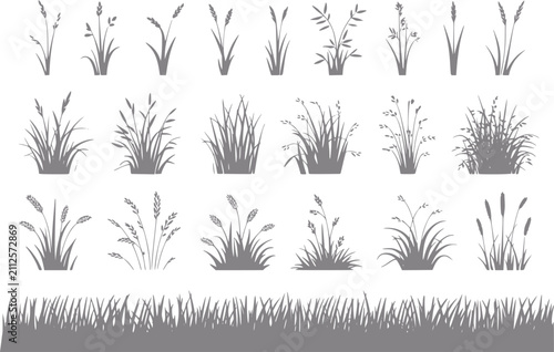 Fotografie Una colección de varias siluetas de hierba y plantas silvestres aisladas sobre u