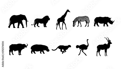 Photography Set of african safari animals silhouettes isolated on transparent background